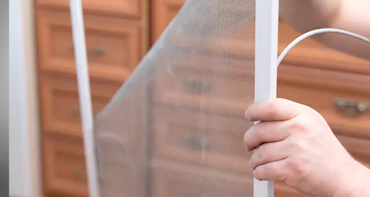 Privacy Mesh Screen Door Installation in Jacksonville Beach, FL