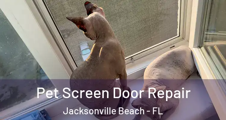 Pet Screen Door Repair Jacksonville Beach - FL